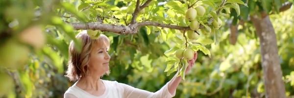 Juice Beauty UK | Founder Picking Apple off Tree